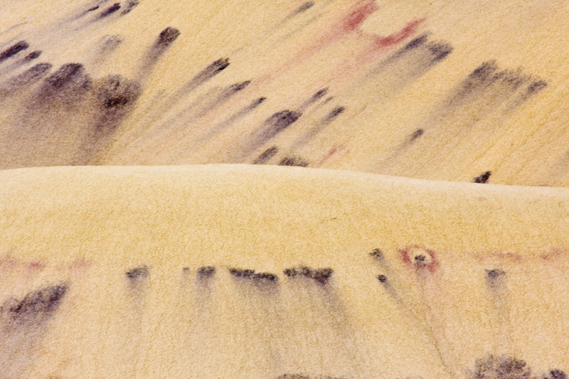 Detail Of The Painted Hills